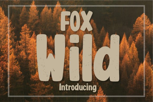 Fox Wild: A Playful Display Font for Editorial Design