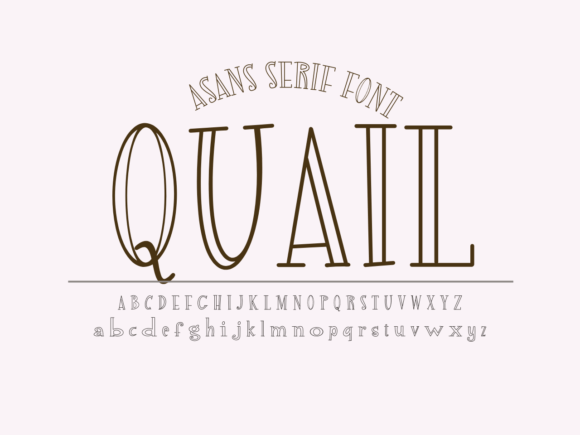 Quail: A Playful Display Font for Modern Web Design